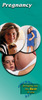 Pregnancy