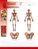Your Structural System