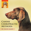 Canine Chiropractic Methods