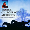 Equine Chiropractic Methods