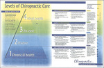 Levels of Chiropractic Care
