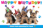 Happy Birthday - from your chiropractic team. (party dogs) 