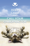 Keep calm and call your chiropractor. (cat) 