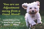 You are an Adjustment away from a Good Mood! 