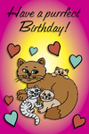 Have a purrfect Birthday! (cats)