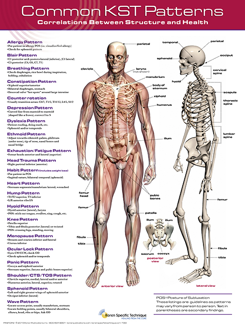 Pkst cp2 web sm