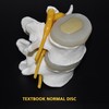 Textbook normal 3d model 800x800