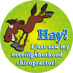 Hay! I Just Saw My Neighborhood Chiropractor!