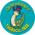 I Just Got An Adjustment At Thoracic Park