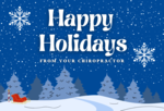Happy Holidays from Your Chiropractor (Blue snow with light blue trees)