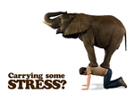 Carrying some stress? 