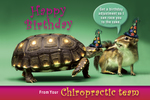 Happy Birthday From Your Chiropractic Team (Tortoise & Chipmunk)