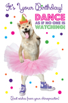 It's your birthday! Dance as if no one is watching