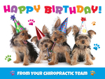 Happy Birthday - from your chiropractic team 1