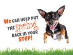 We can help put the spring back in your step!