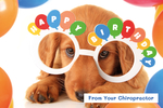 Happy Birthday From Your Chiropractor (Dog with funny glasses)
