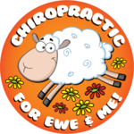 Chiropractic for ewe and me